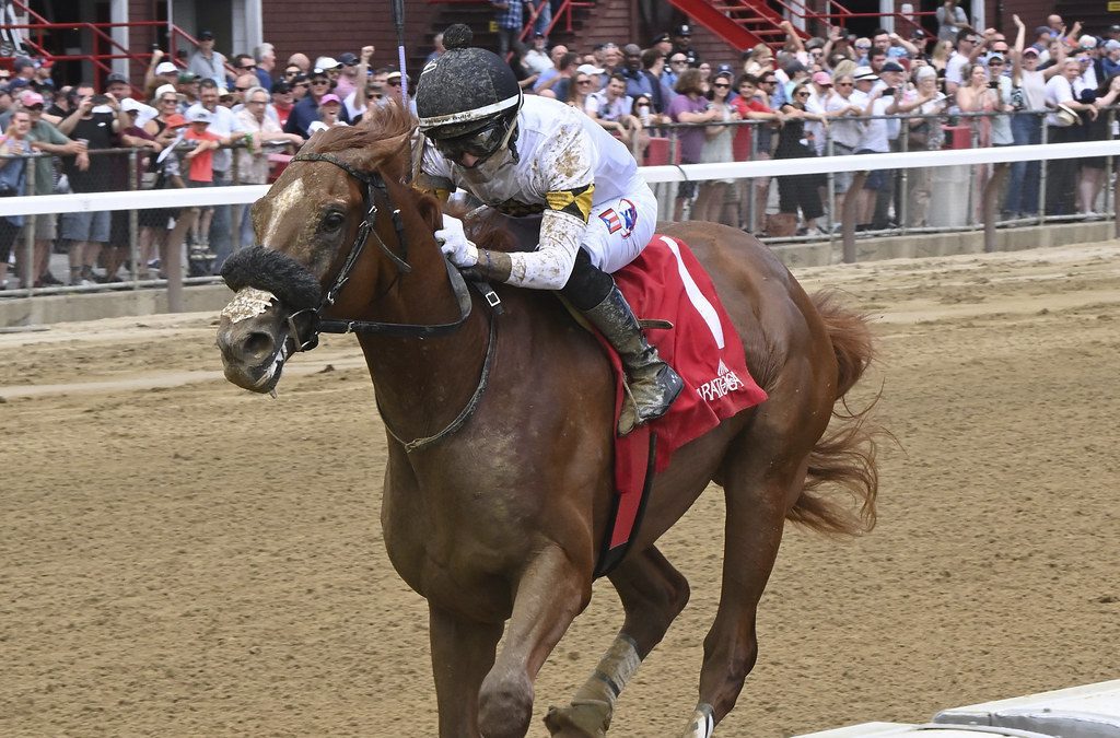 Studlydoright runs ’em down to win Tremont