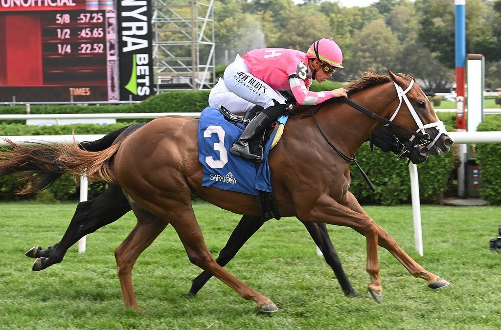 Amidst Waves hopes to make a splash in Stormy Blues