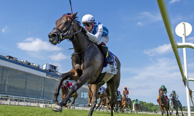 Too much Toupie in Stormy Blues