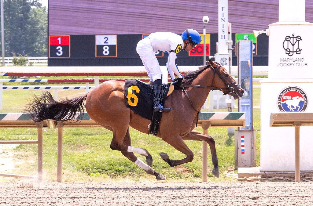 Sharedashenanigans, out of Sharing, wins on debut