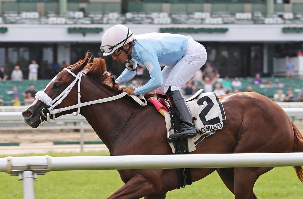 Beauty of the Sea shines in Goldwood