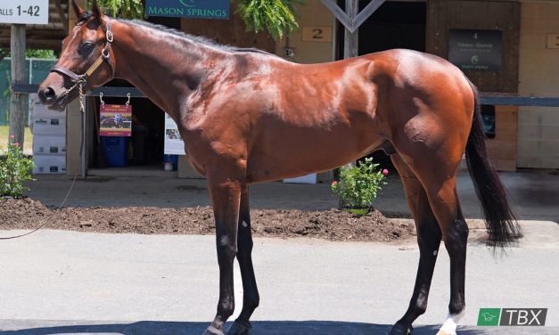 Fasig-Tipton June sale set for Tuesday