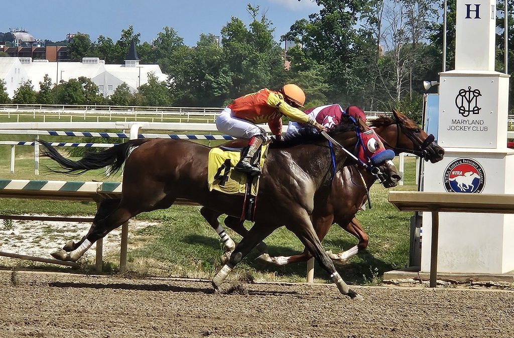 Play Harder elevated via DQ to Star de Naskra win