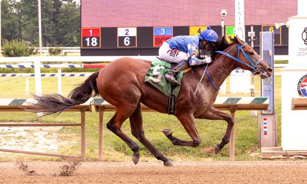 Robb, Perez sweep Laurel baby races