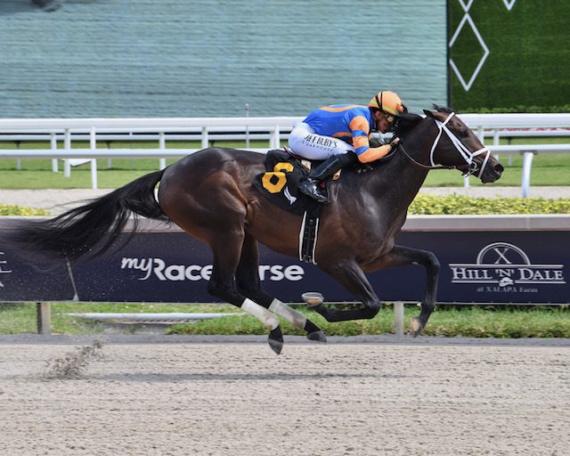 Mindframe maintains Top Midlantic-bred Poll edge