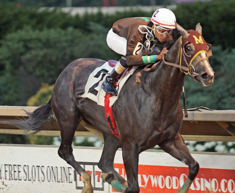 Direct the Cat likely a handful in Sylvia Bishop Memorial