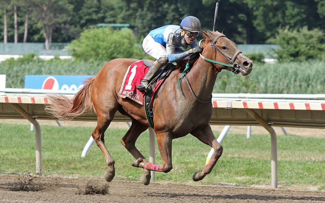 Reclusive gives jockey Chris Elliott first stakes win