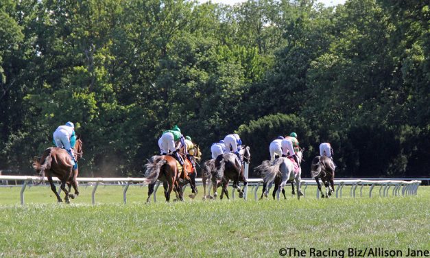 Delaware Park: Latest jockey and trainer stats