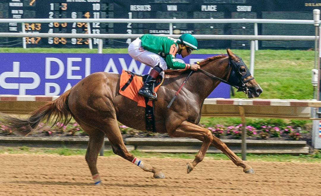 Dean Delivers looks for hat trick in De Francis Dash