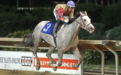 Jubawithatwist strong fave in WVBC Sam Huff Classic