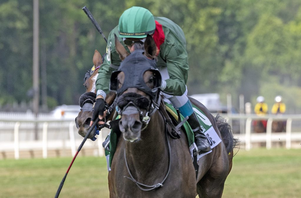 Sparkle Blue, Cut From Class meet again in Dahlia