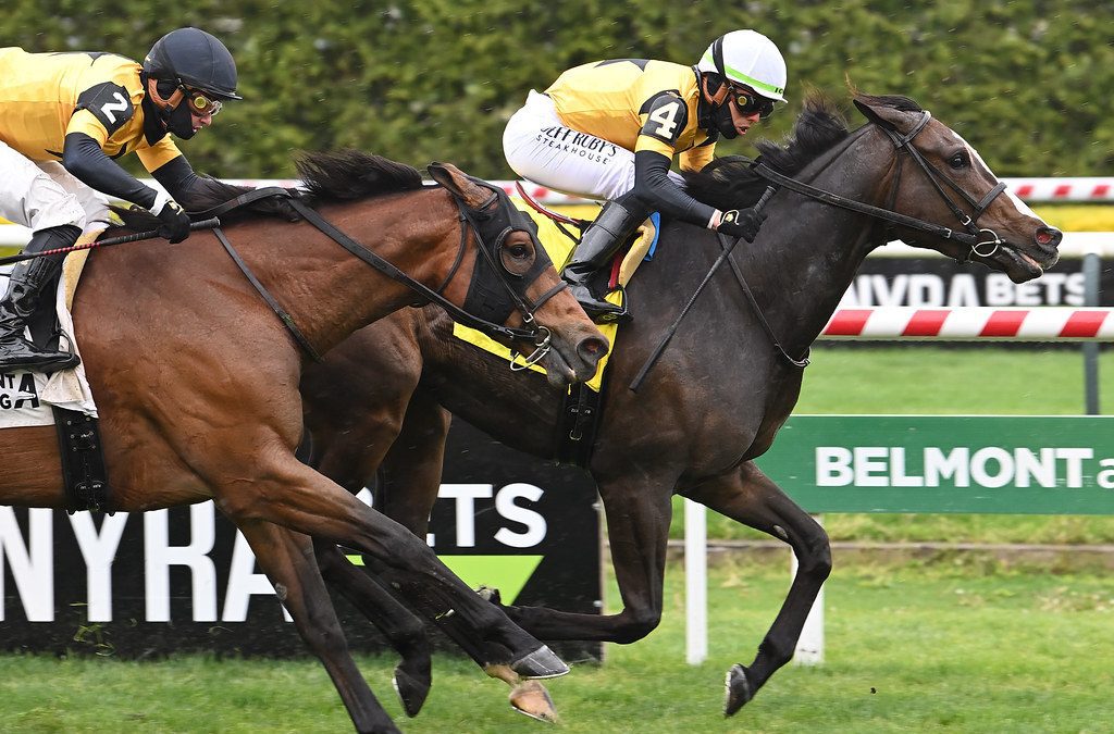 Dontlookbackatall hopes to see way to G3 Caress win