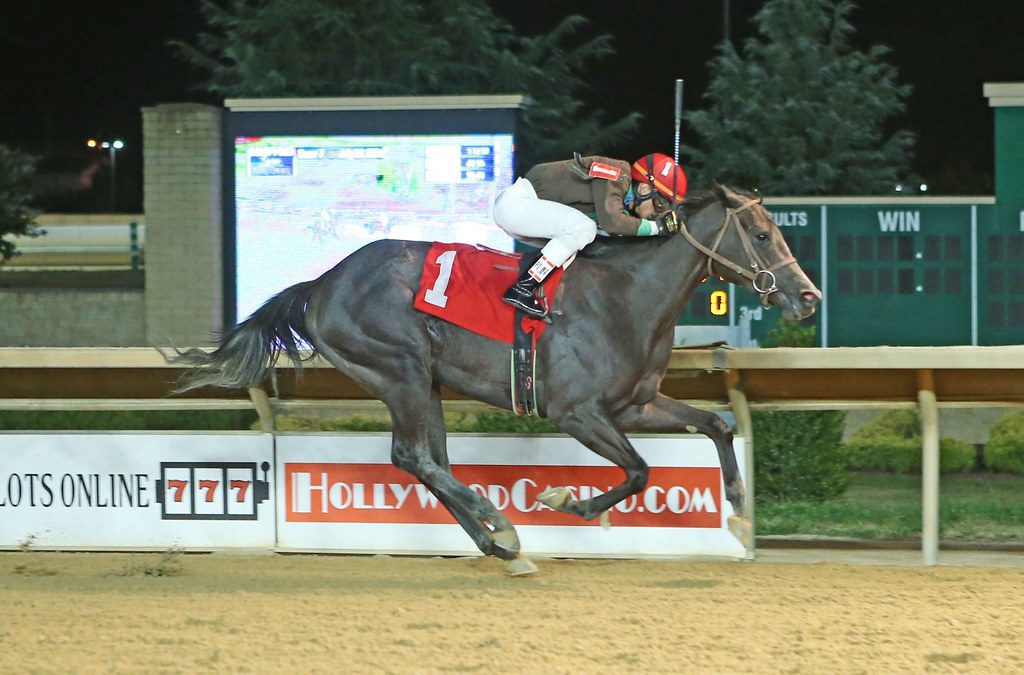 Overnight Pow Wow, the “other” McKee horse, tries CT Oaks