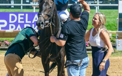 At first glance, Kerri Raven’s barn punching above its weight