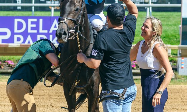 At first glance, Kerri Raven’s barn punching above its weight