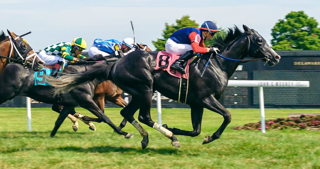 Delaware: Supporting stakes offer intrigue