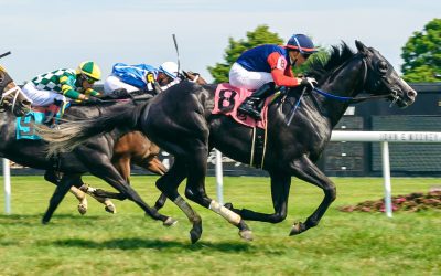Delaware: Supporting stakes offer intrigue