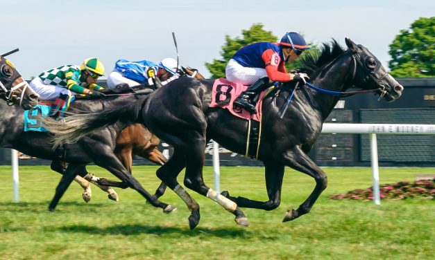 Ben Curtis bringing a world of experience to Colonial Downs