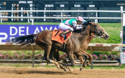 Four the magic number as Delaware Park meet ends