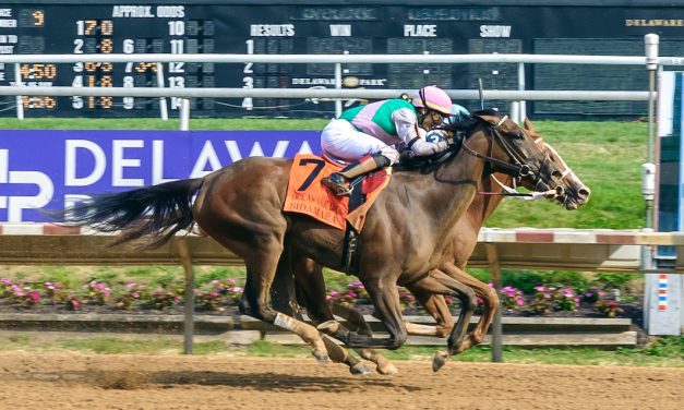 Four the magic number as Delaware Park meet ends