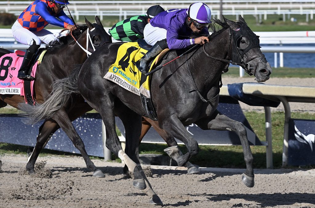 Affirmative Lady set for season bow in Caesar’s Wish