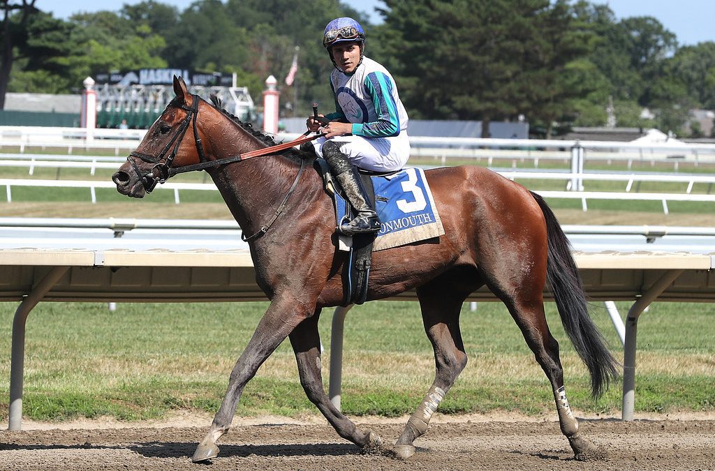 Book’em Danno repeats as NJ-bred horse of the year
