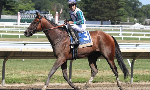 Book’em Danno repeats as NJ-bred horse of the year