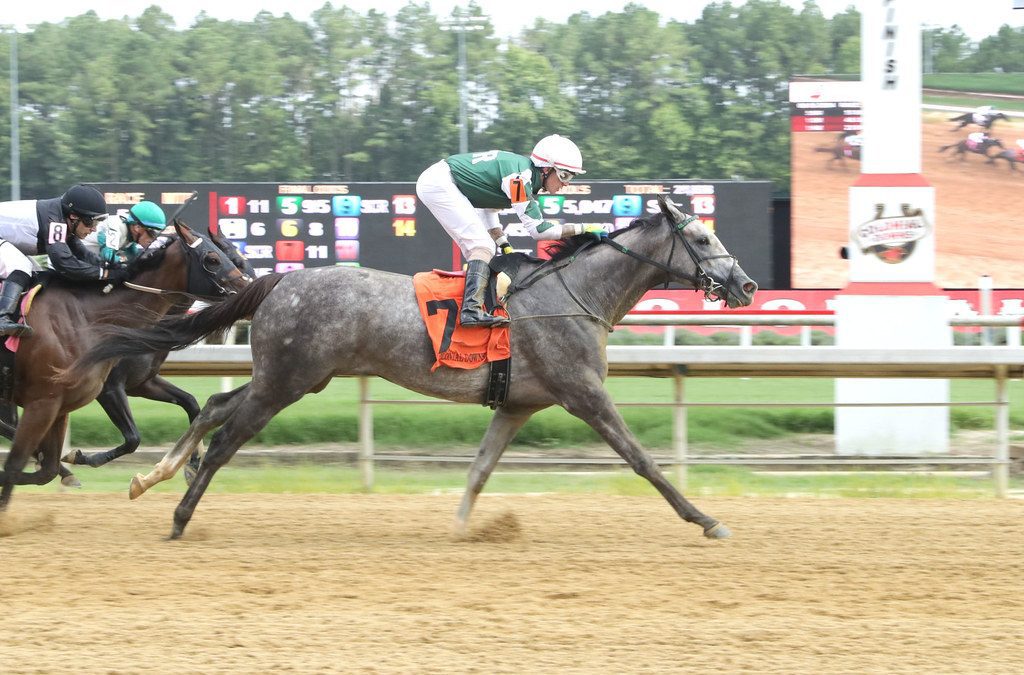 Winfinity, Candycrumbs rally to Colonial stakes wins