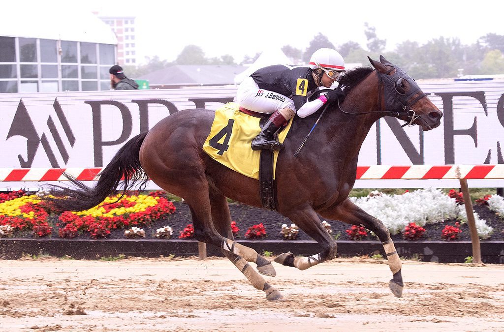 Cut From Class seeks first stakes win in All Brandy