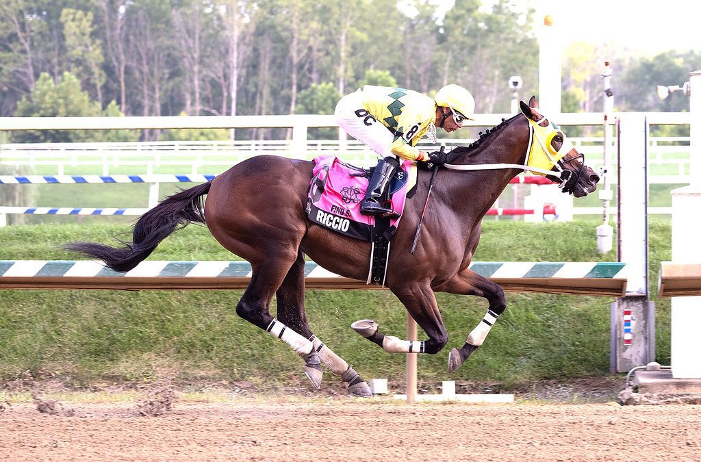 Riccio dominates rivals in Find Stakes