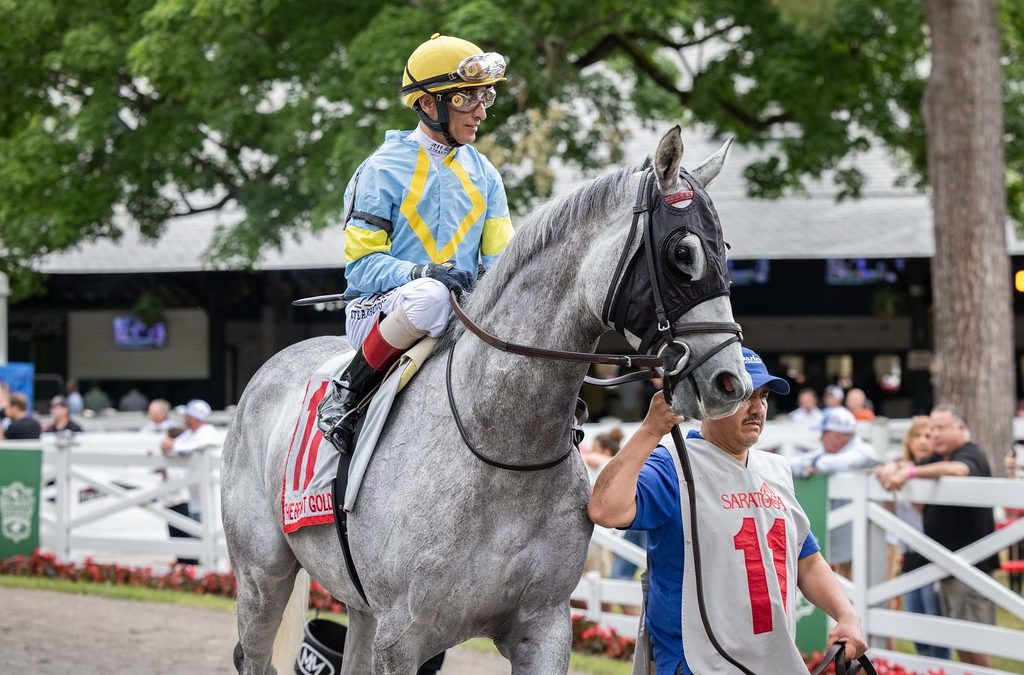 The Grey Wizard hopes to conjure up Cape Henlopen win