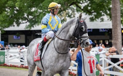 The Grey Wizard hopes to conjure up Cape Henlopen win