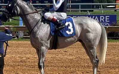 The Grey Wizard scores in Cape Henlopen