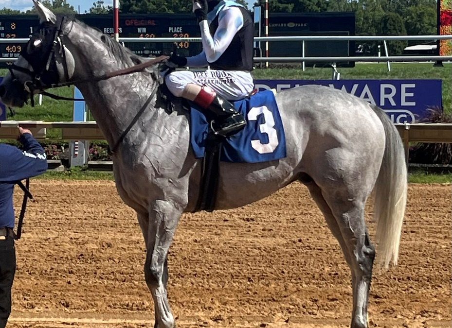 The Grey Wizard scores in Cape Henlopen