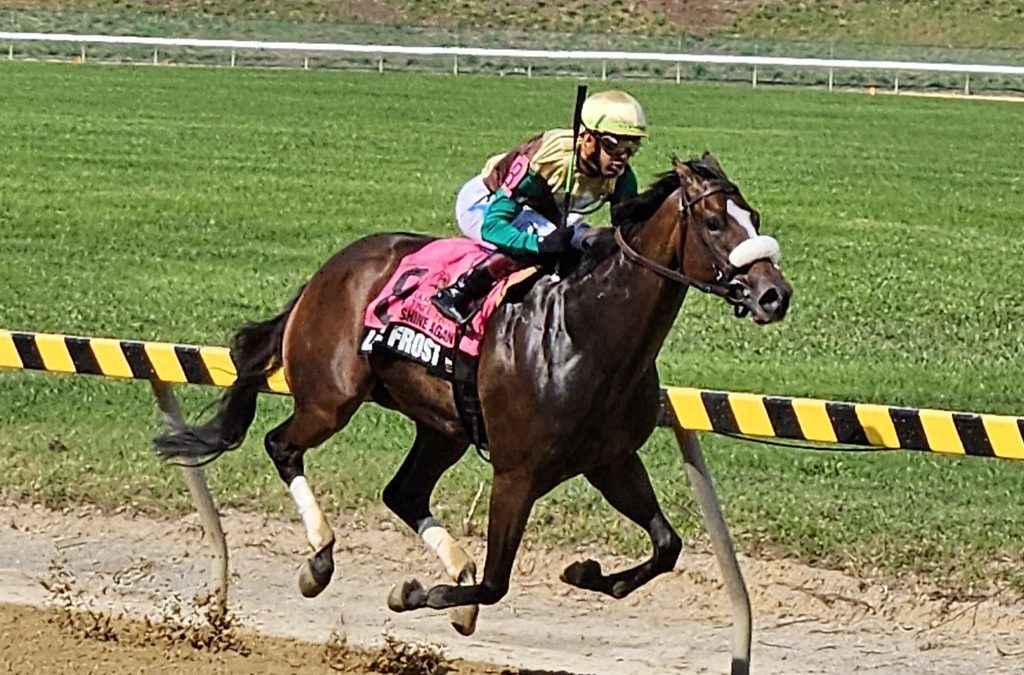 Late Frost chills rivals in Shine Again