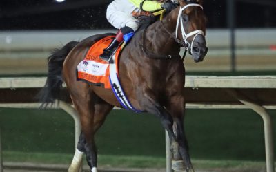 Charles Town: 8 moments that mattered in 2024