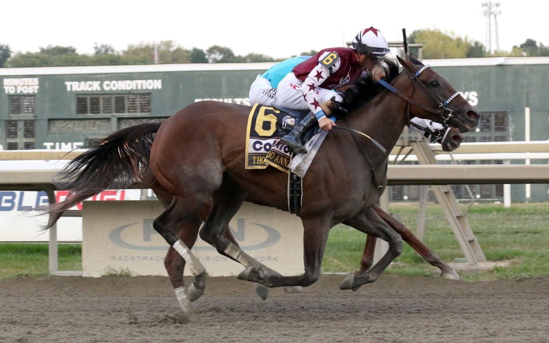 Thorpedo Anna wins Horse of the Year