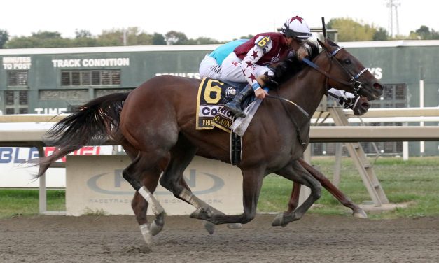 Thorpedo Anna wins Horse of the Year