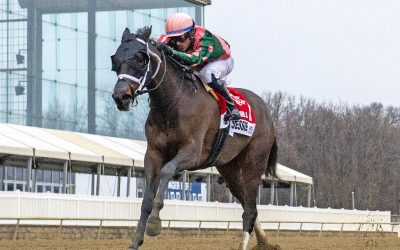 Saddle Up Jessie installed as Obeah favorite