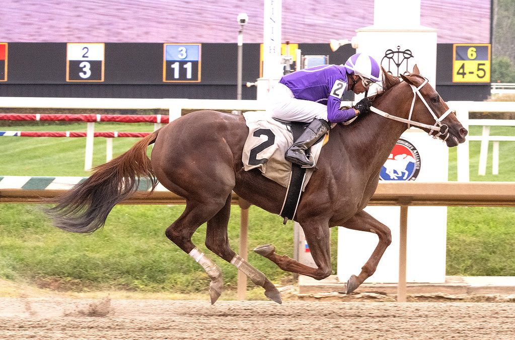 Laurel: Compact field to contest Twixt Stakes