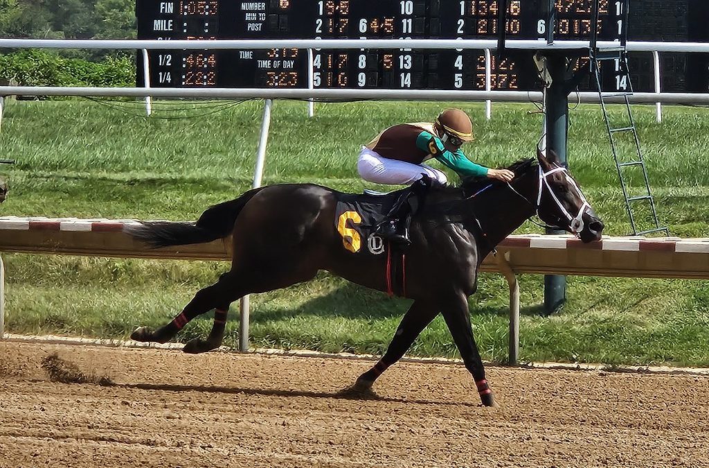 Caprice could cap banner season in Gin Talking