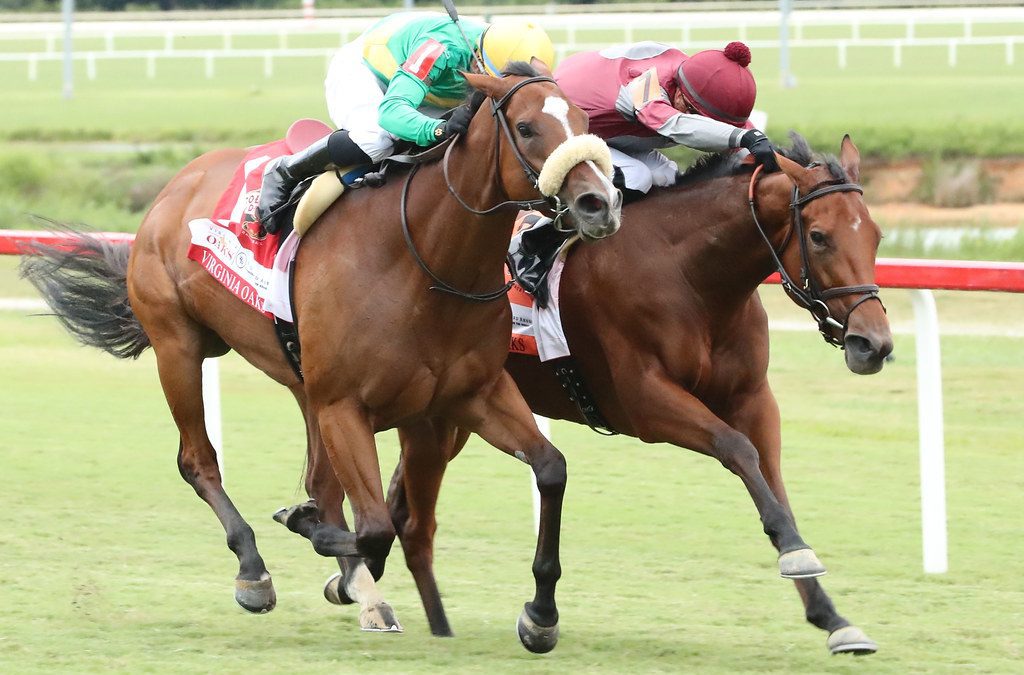 Style Points, Deep Satin dead heat for Virginia Oaks win