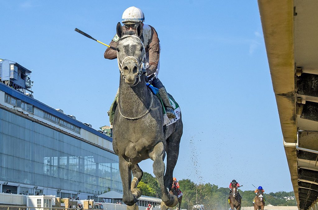 Post Time named Maryland-bred horse of the year