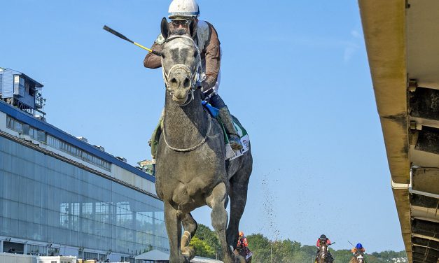Post Time named Maryland-bred horse of the year
