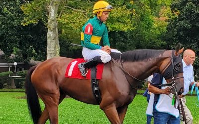 Evidencias breaks through in Obeah