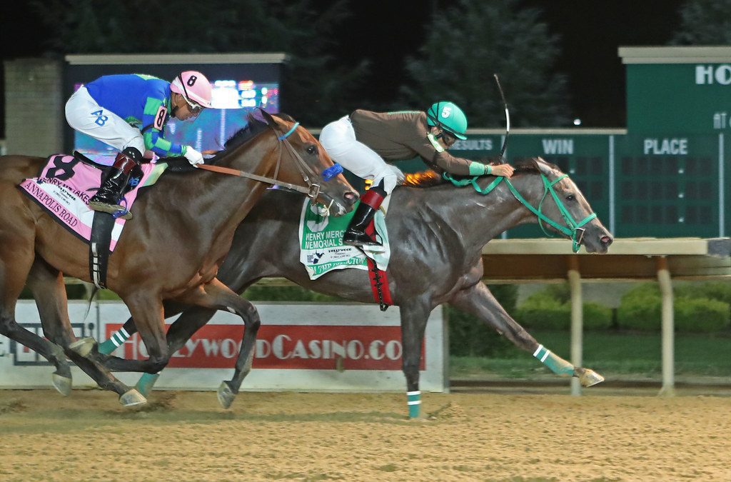 Im the Director solid fave in WV Futurity