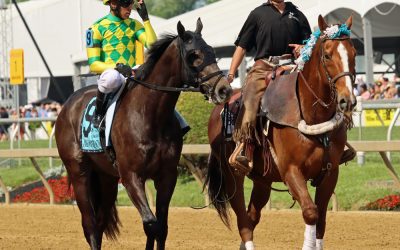 Crabs N Beer gets nod as People’s Voice Midlantic-bred