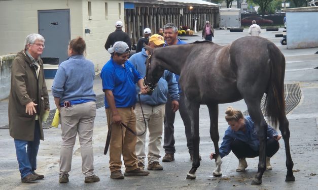 Smaller Fasig-Tipton yearling sale topped by Maryland-bred