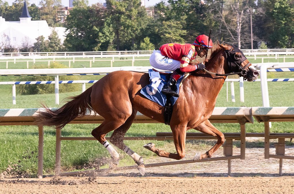 Delaware: Rocky Run an intriguing end to stakes schedule