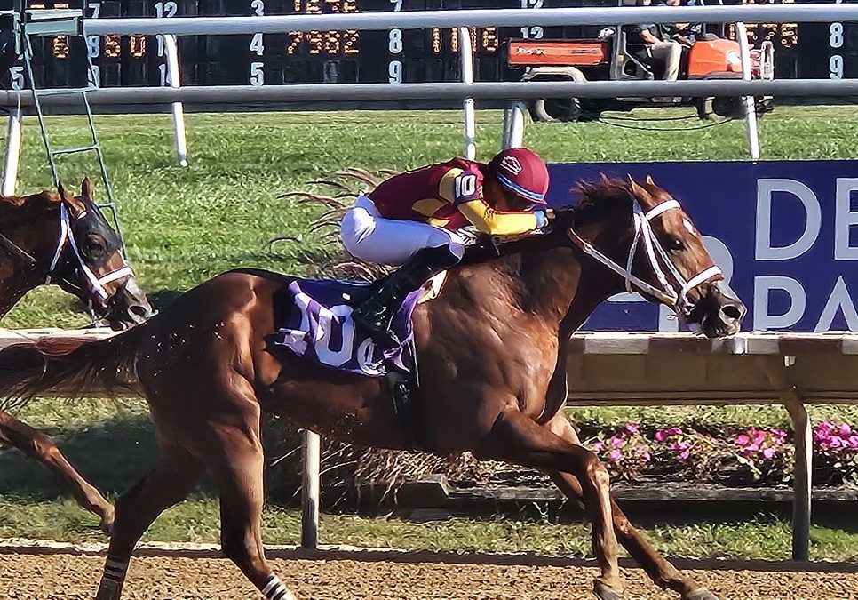 Delaware: Emotions high in White Clay Creek, Rocky Run